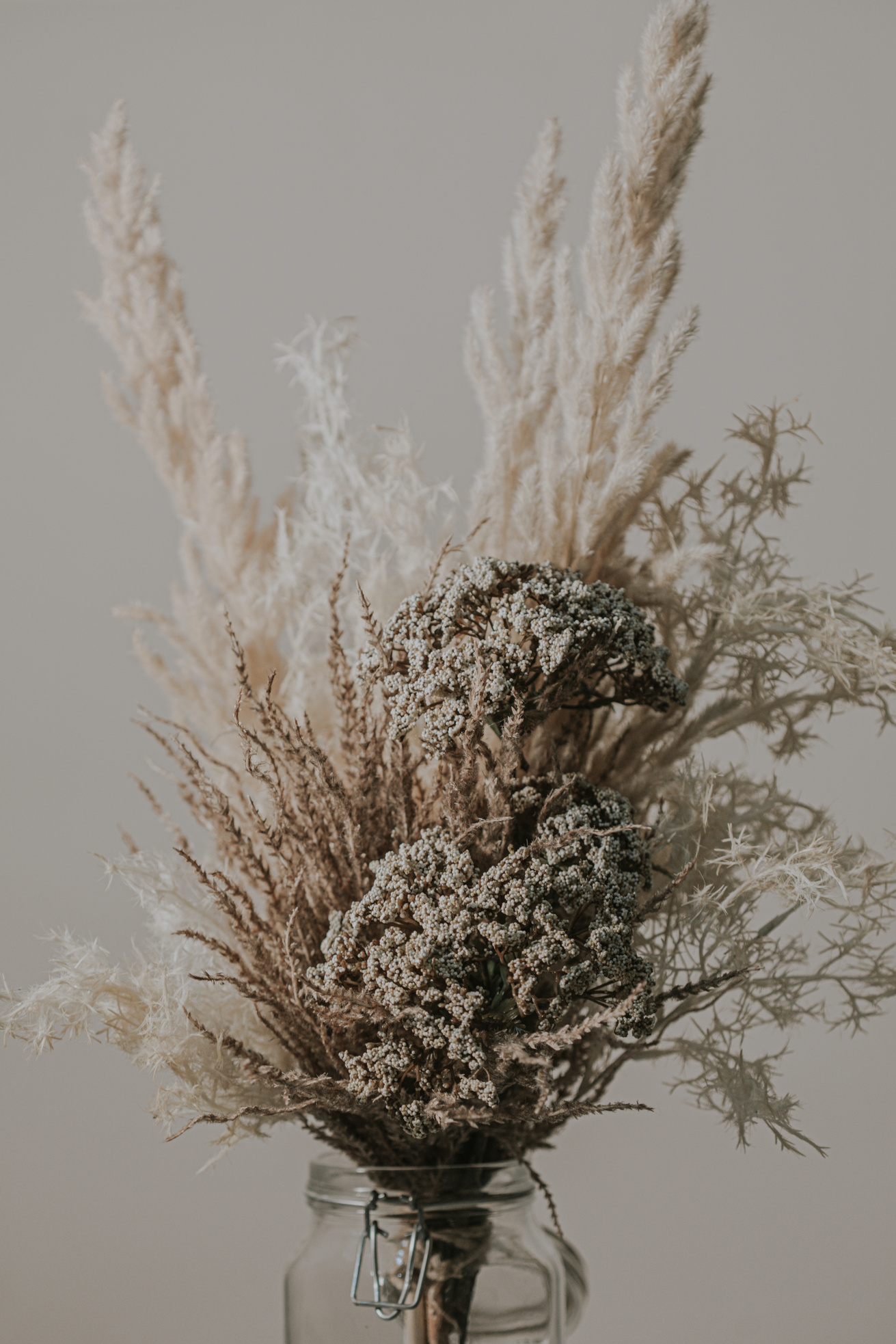 Bouquet of Dried Flowers on Light Background